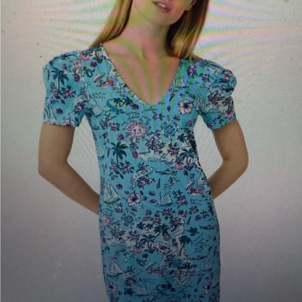 Lilly pulitzer, NWTs alice t shirt Blue Dress with Puff Sleeves, florida size sm